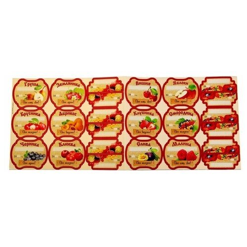 Набор цветных этикеток для домашних заготовок из ягод и фруктов 6.4×5.2 см
